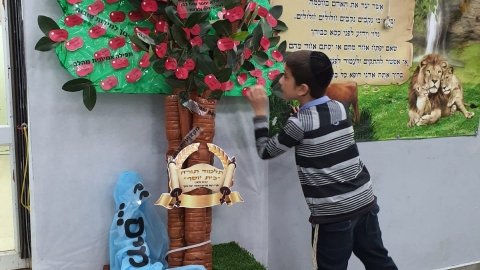 טו בשבט בית יוסף.jpeg