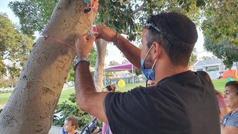 עץ המוצצים.jpeg