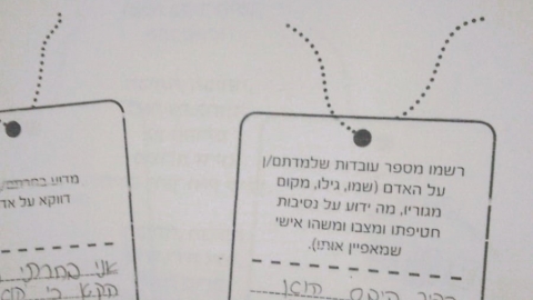 גימנסיה דרכא קריית מלאכי ציינו 100 ימים לחטופים (3).jpg