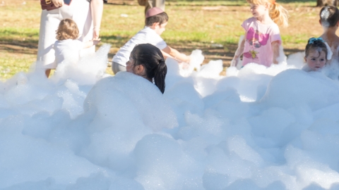 DSC02837.jpg